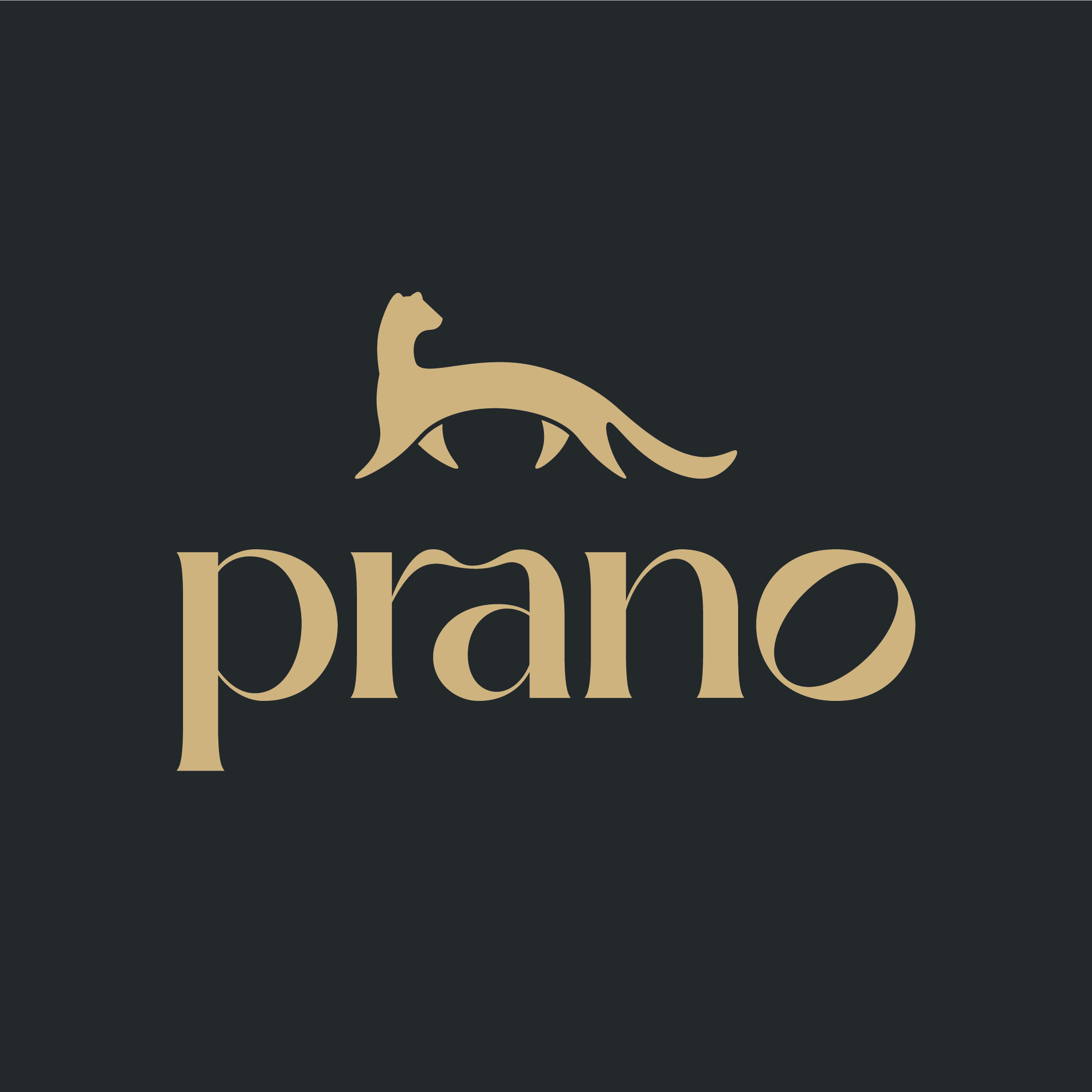 Prano — преміум хімчистка у Львові | Послуги хімчистки, ремонту взуття ...